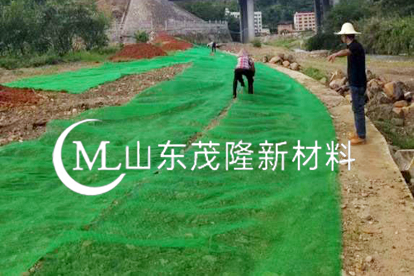 宜威高速-三維植被網施工