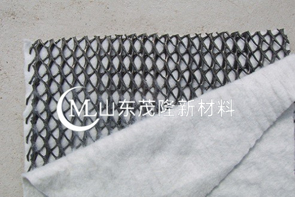 復合排水網廠家/三維復合排水網廠家  第1張