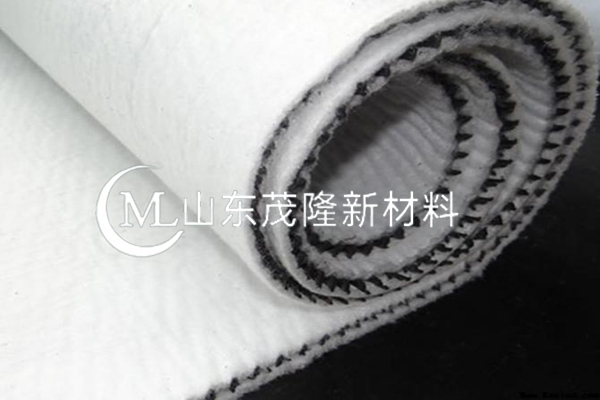 復合排水網廠家/三維復合排水網廠家  第3張