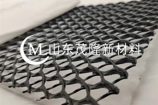 復合土工排水網/復合三維排水網  第2張