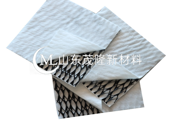 復合土工排水網/復合三維排水網  第3張