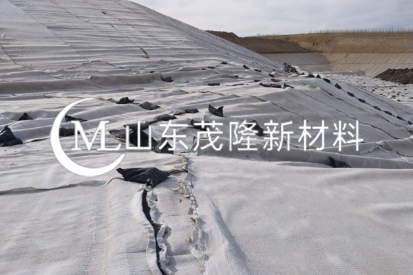 《煤炭分質清潔高效轉化示范項目固廢處理廠項目》三維復合排水網施工