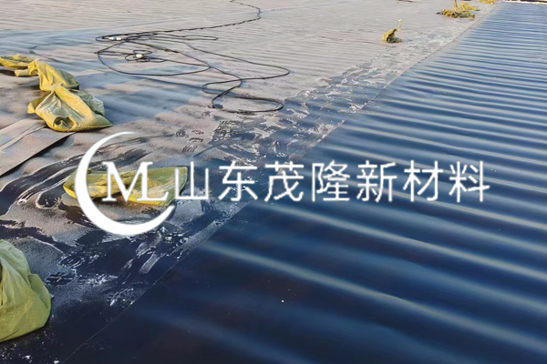 《盛虹煉化一體化項(xiàng)目》土工膜施工